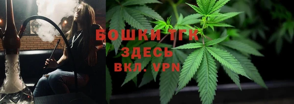 гидра Алексеевка