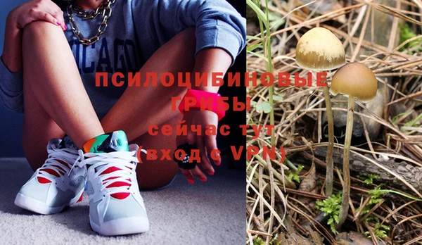 дмт Алзамай