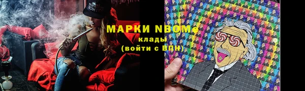 гидра Алексеевка