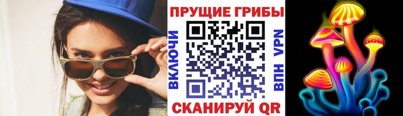 мега ТОР купить наркотик Кореновск Галлюциногенные грибы мицелий