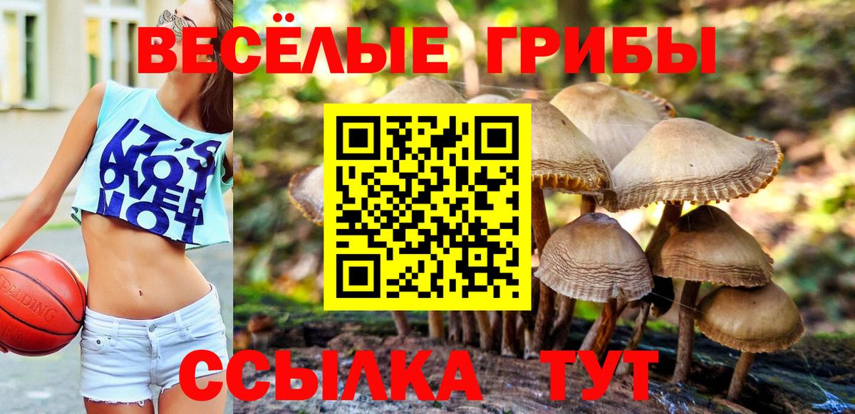 Кореновск  Галлюциногенные грибы прущие грибы  Вход с VPN 